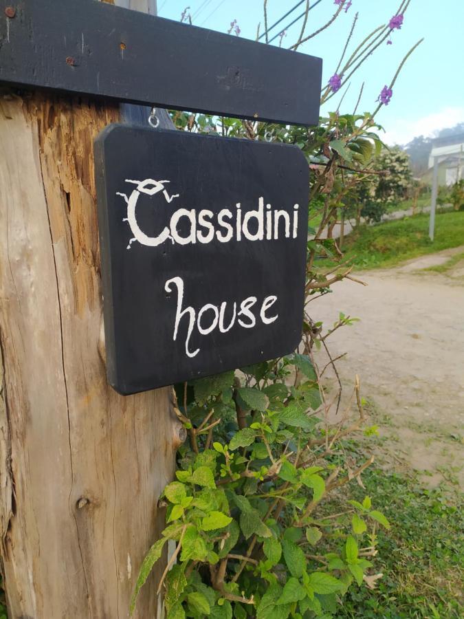 Cassidini House Lejlighed Monteverde Eksteriør billede
